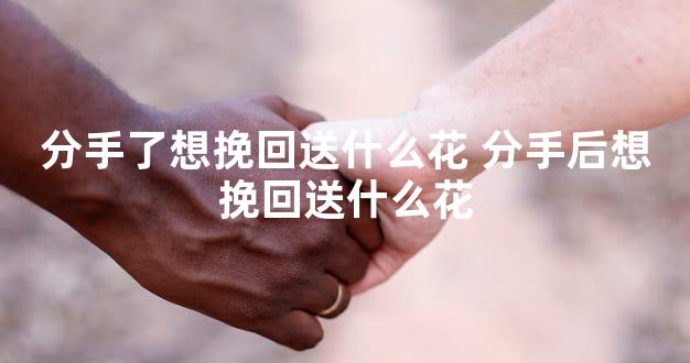 分手了想挽回送什么花 分手后想挽回送什么花